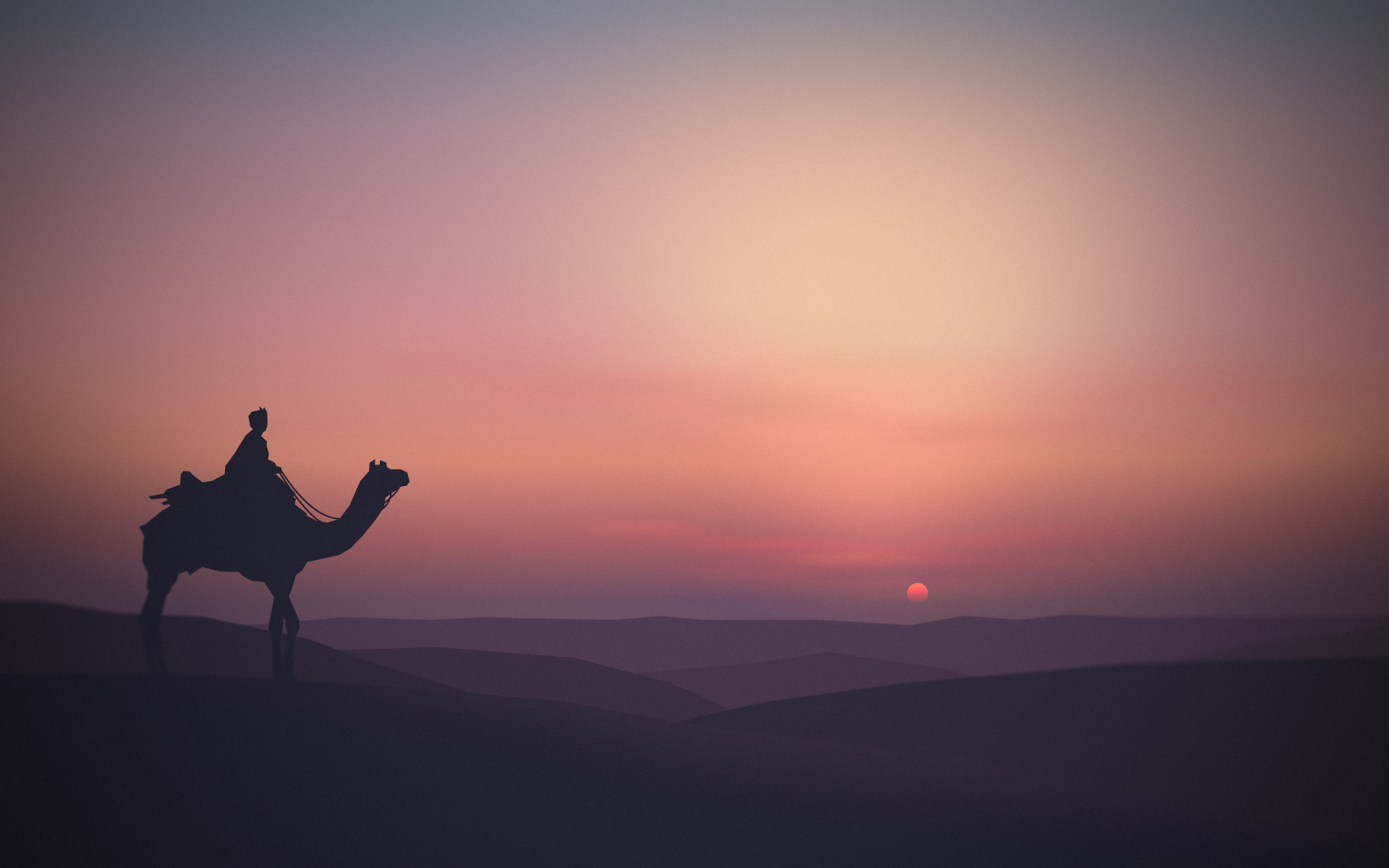 Wallpapers camel animals silhouette on the desktop