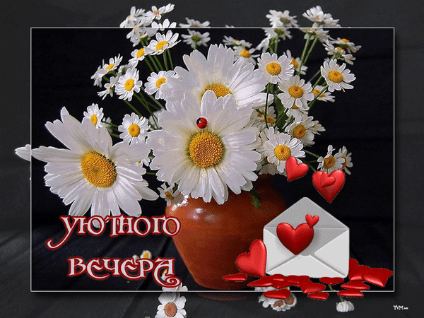 Postcard free hearts, bouquet of daisies, envelope