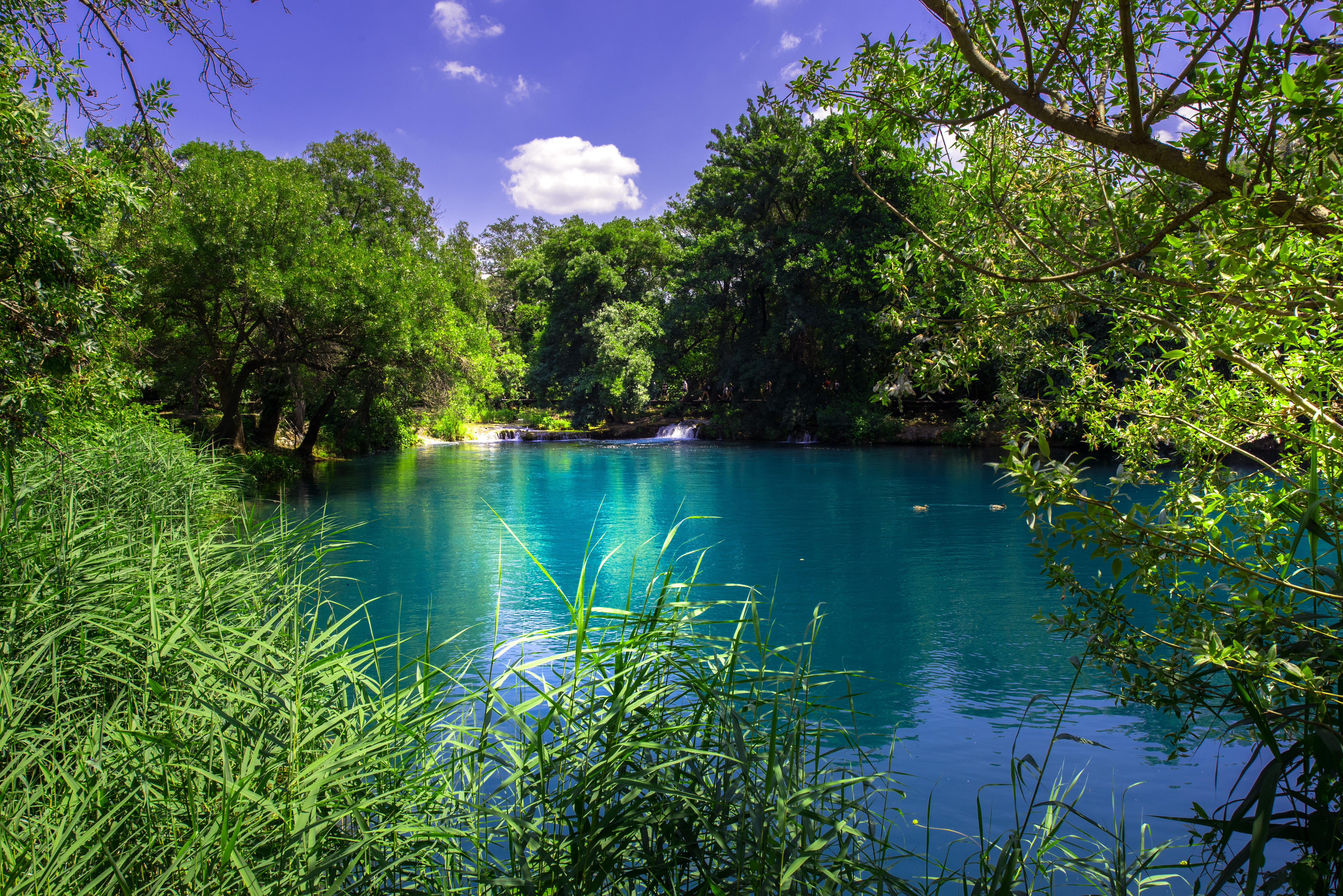 Обои национальный парк Крка голубое озеро озеро в лесу на рабочий стол