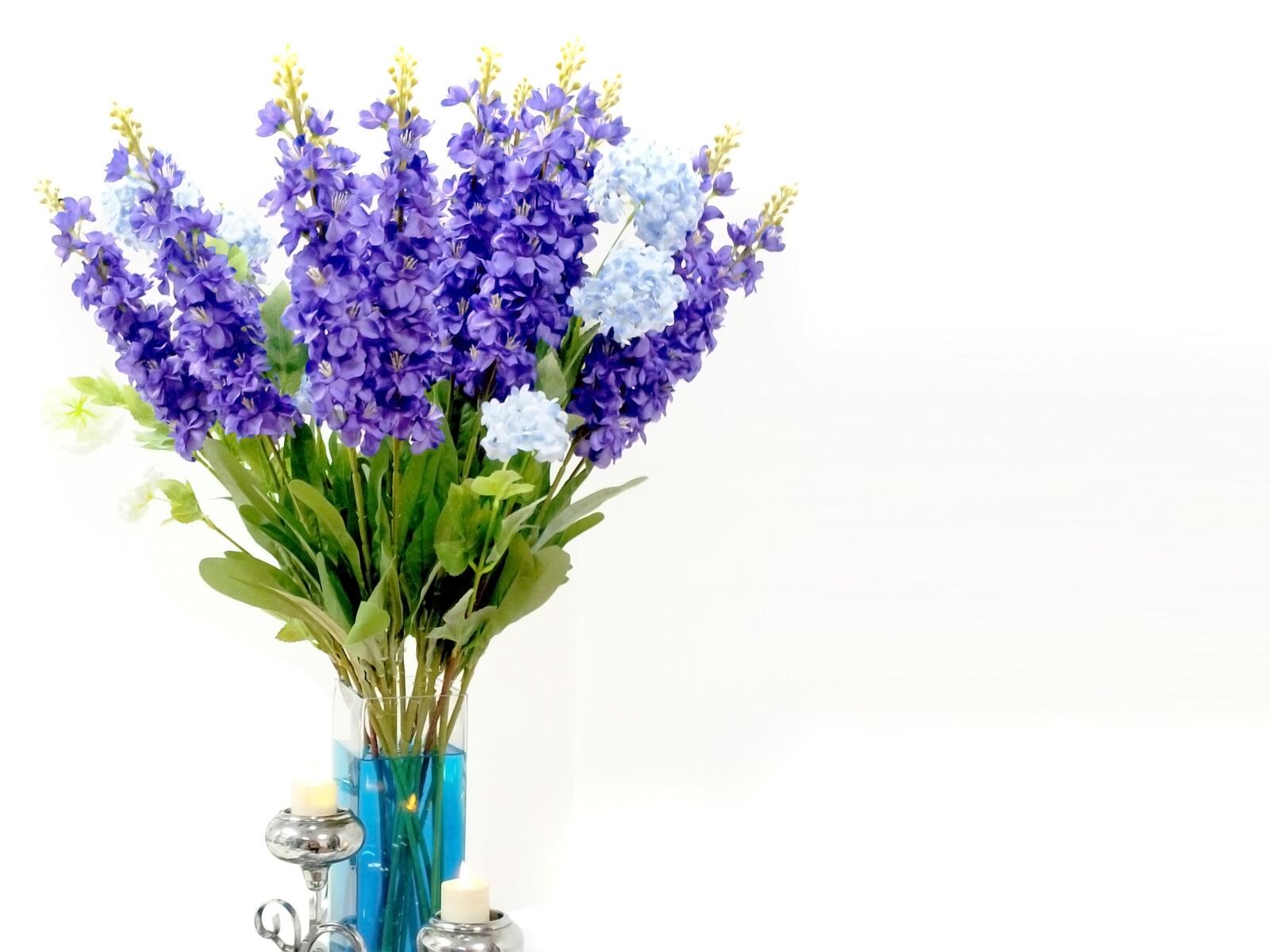 Wallpapers hyacinth flora vase on the desktop