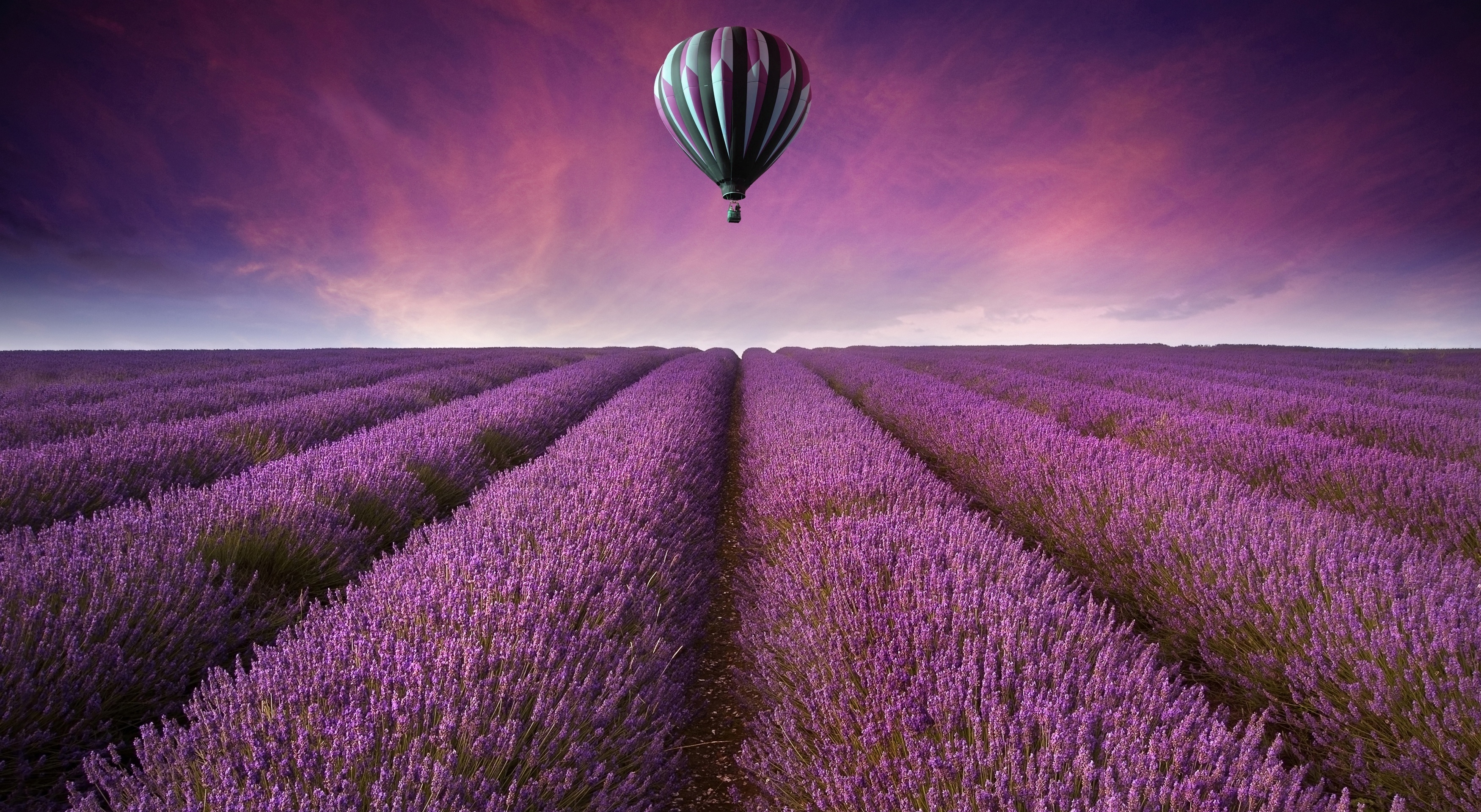 Воздушный шар пролетает над полем с пурпурными цветами
