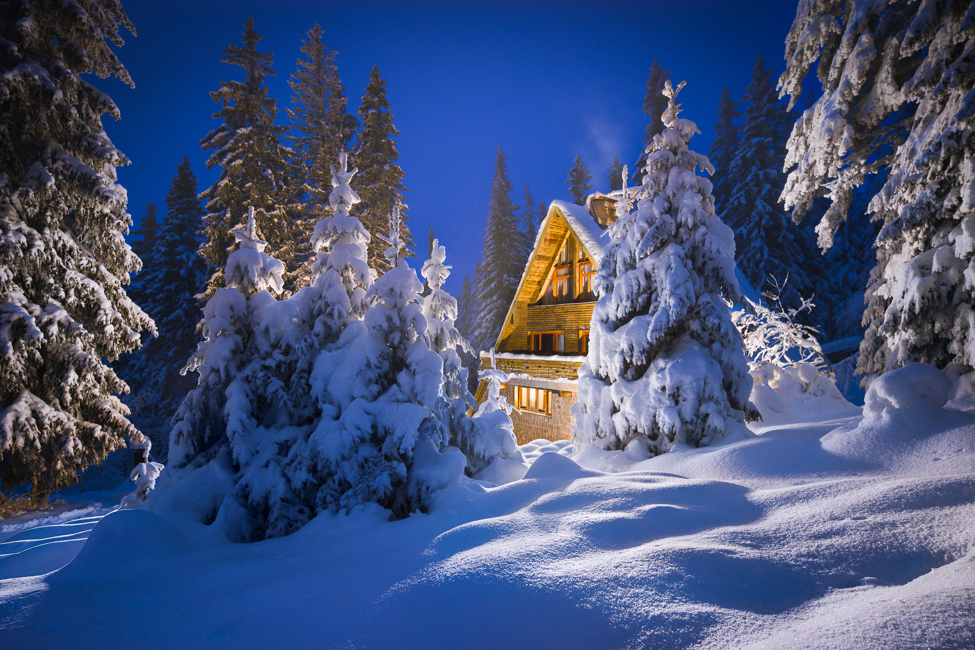 免费照片冬日森林中的小木屋夜景