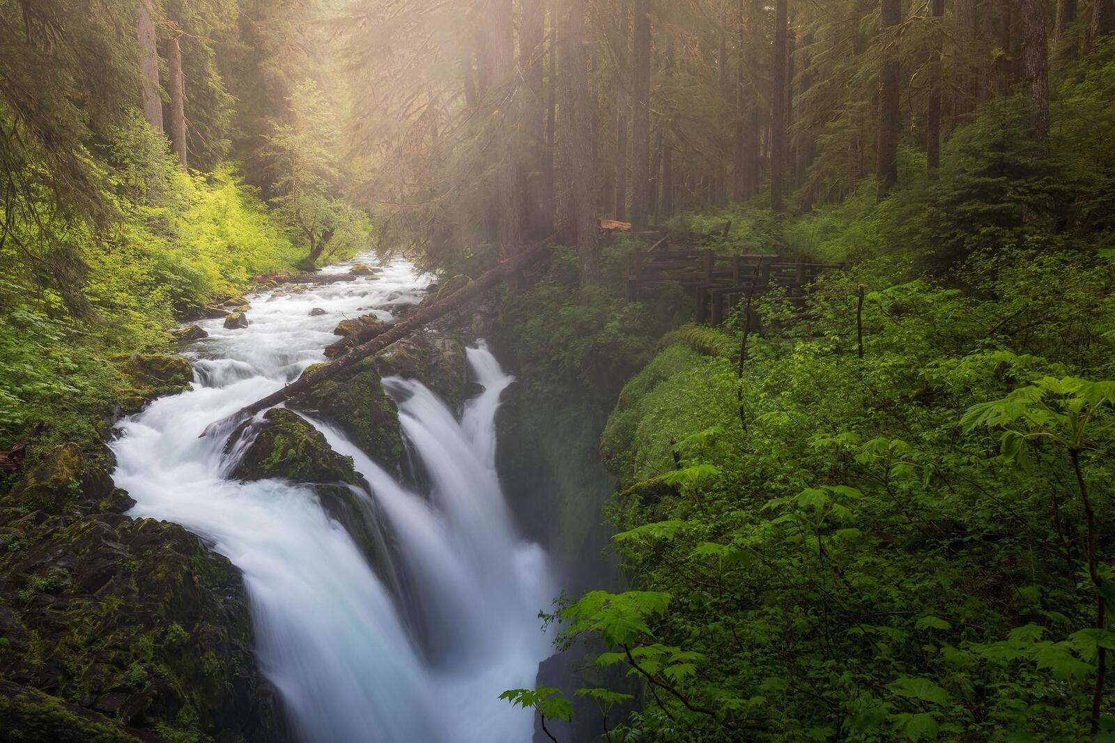 Wallpapers Sol Duc Falls Olympic National Park forest on the desktop