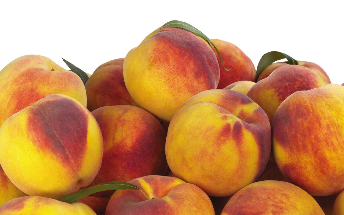 Вкусные персики на белом фоне