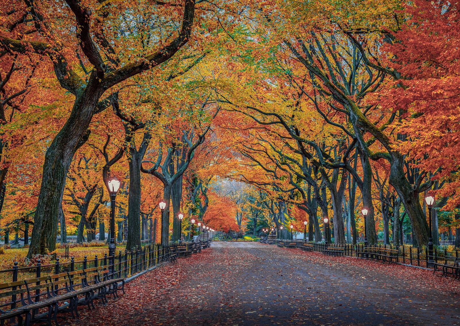 Wallpapers park autumn New York City on the desktop
