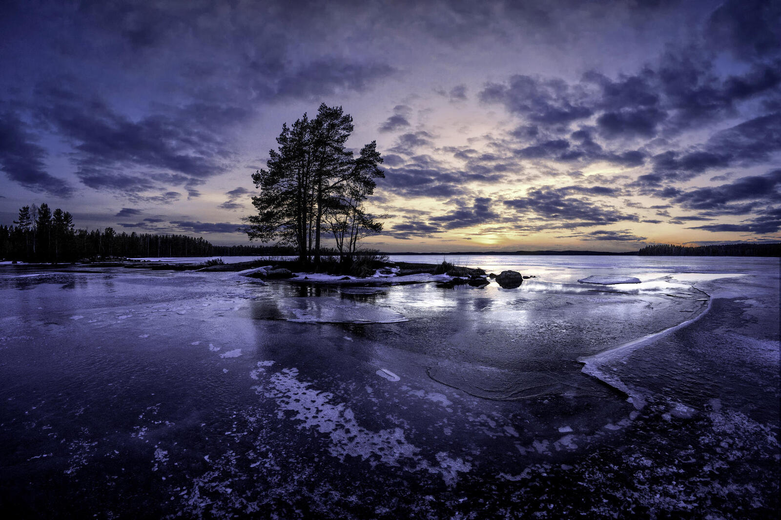 Wallpapers trees ice lake on the desktop