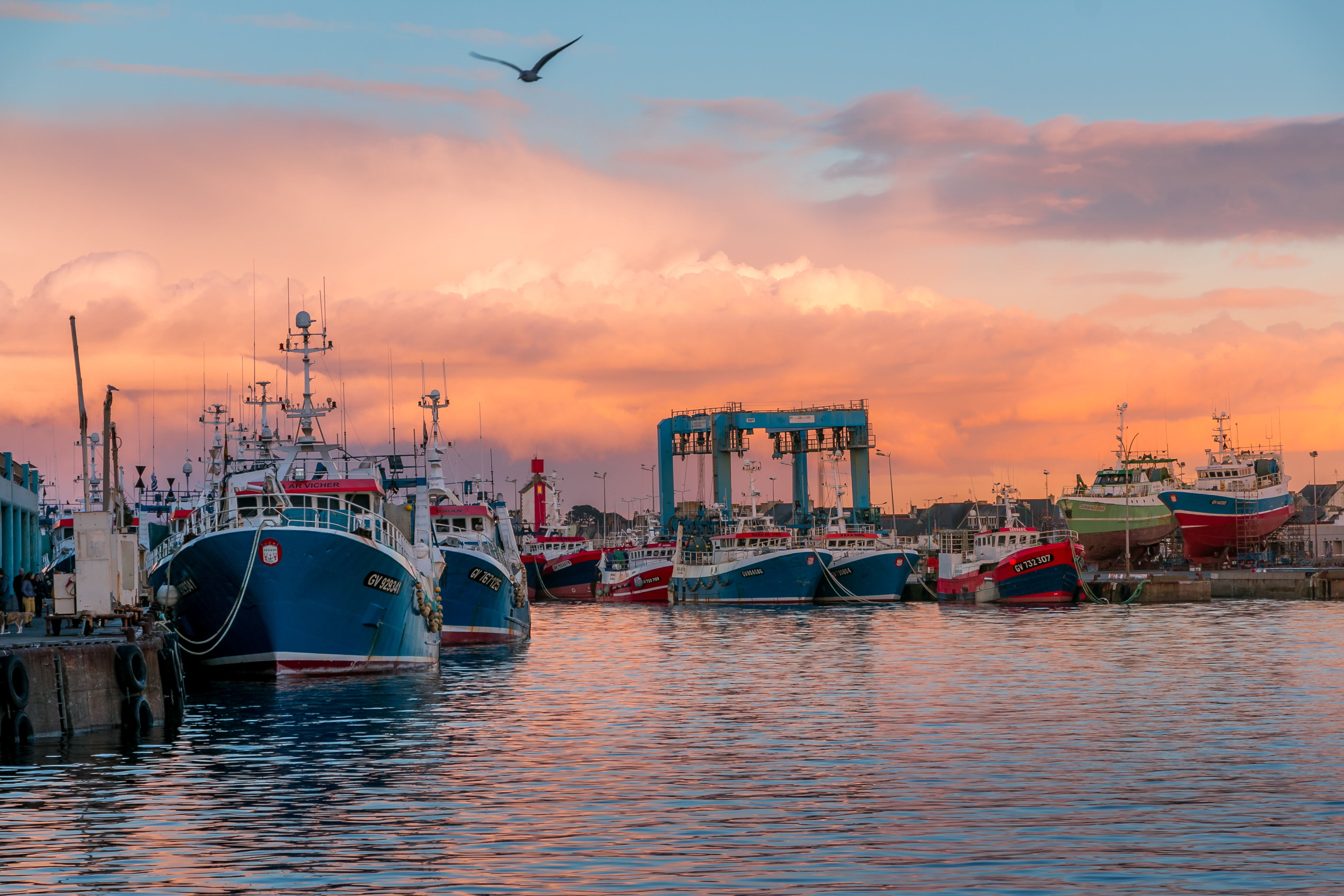 Бесплатное фото Корабли в порту на закате