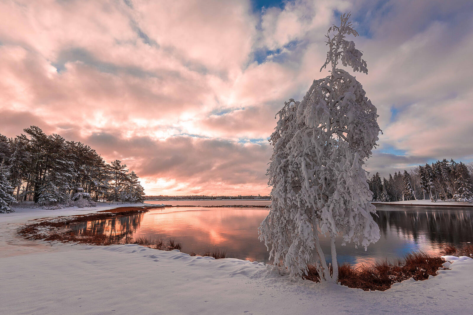 Бесплатное фото Зимний закат солнца