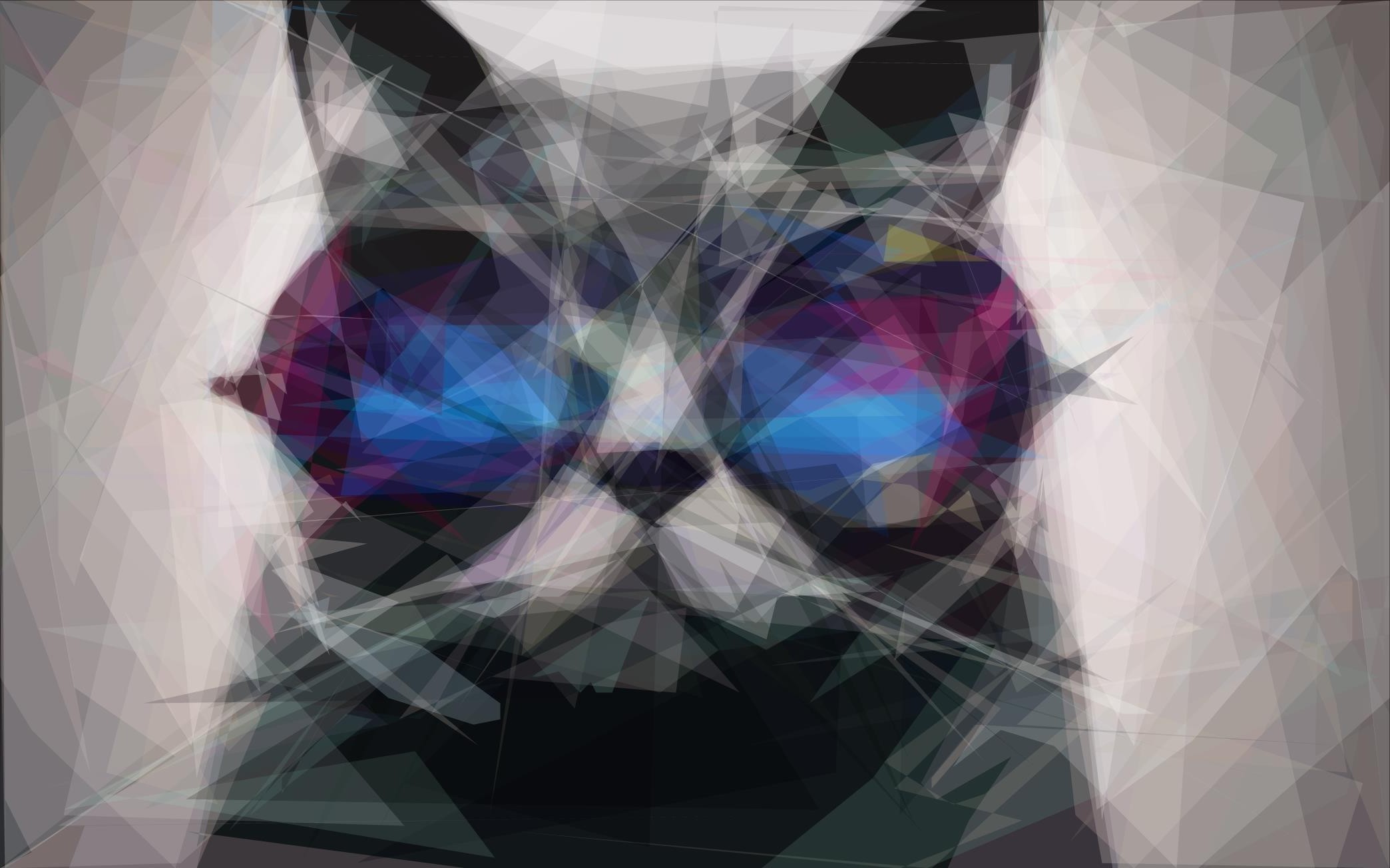 Wallpapers symmetry art cat on the desktop