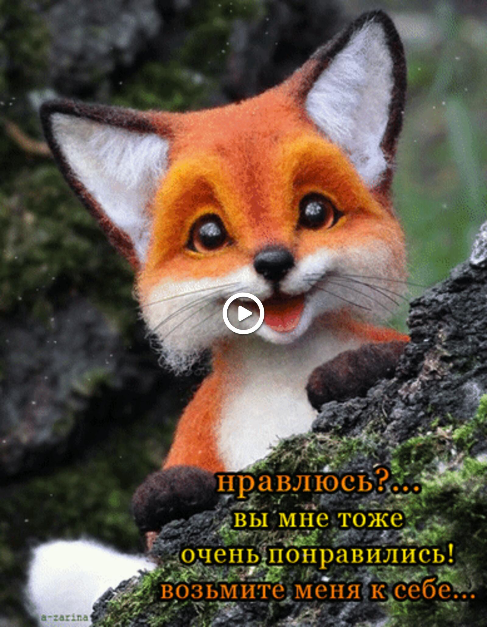 kit fox toy animation