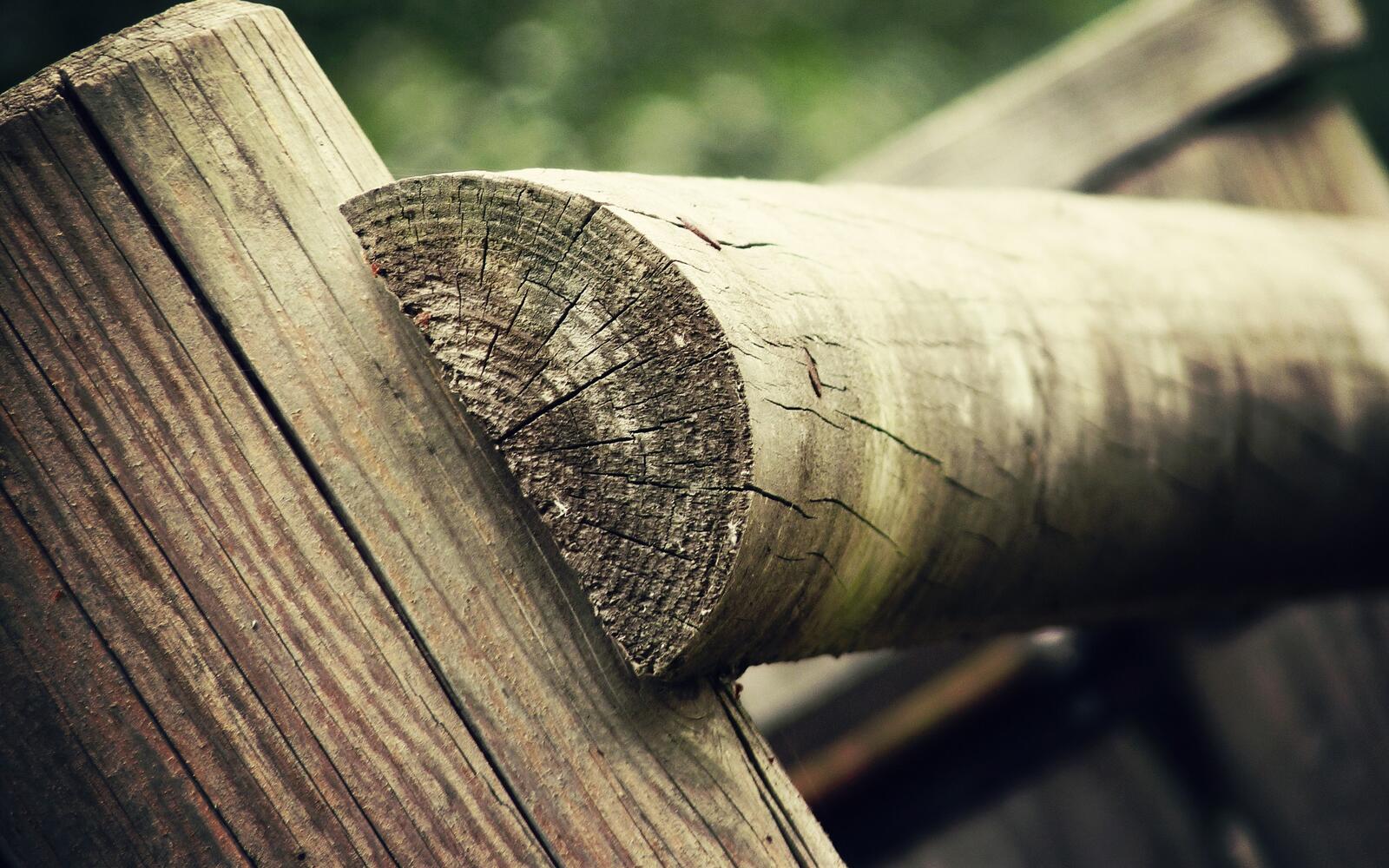 Обои природа древесина макросъемка на рабочий стол