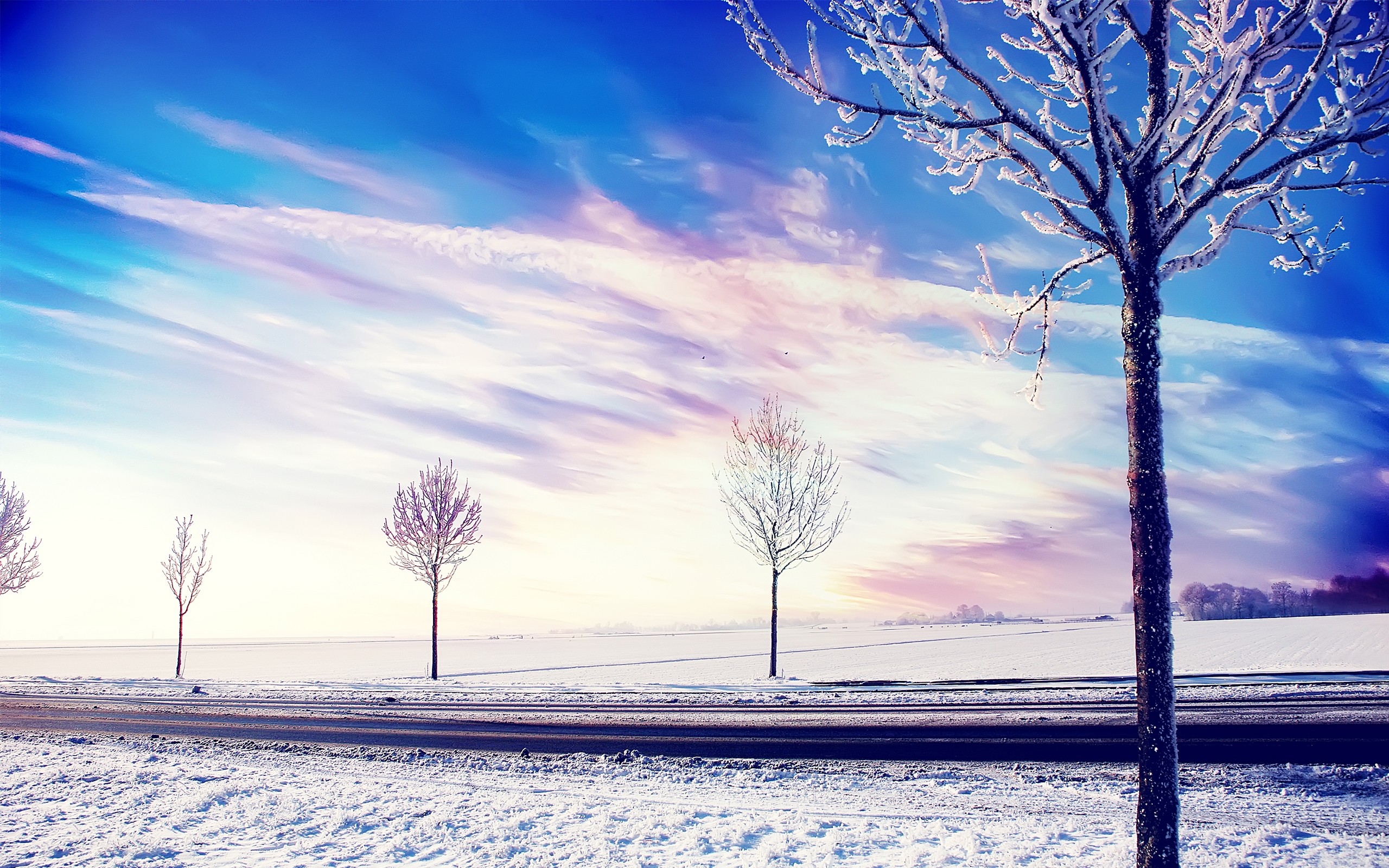 Wallpapers snow road trees without leaves on the desktop