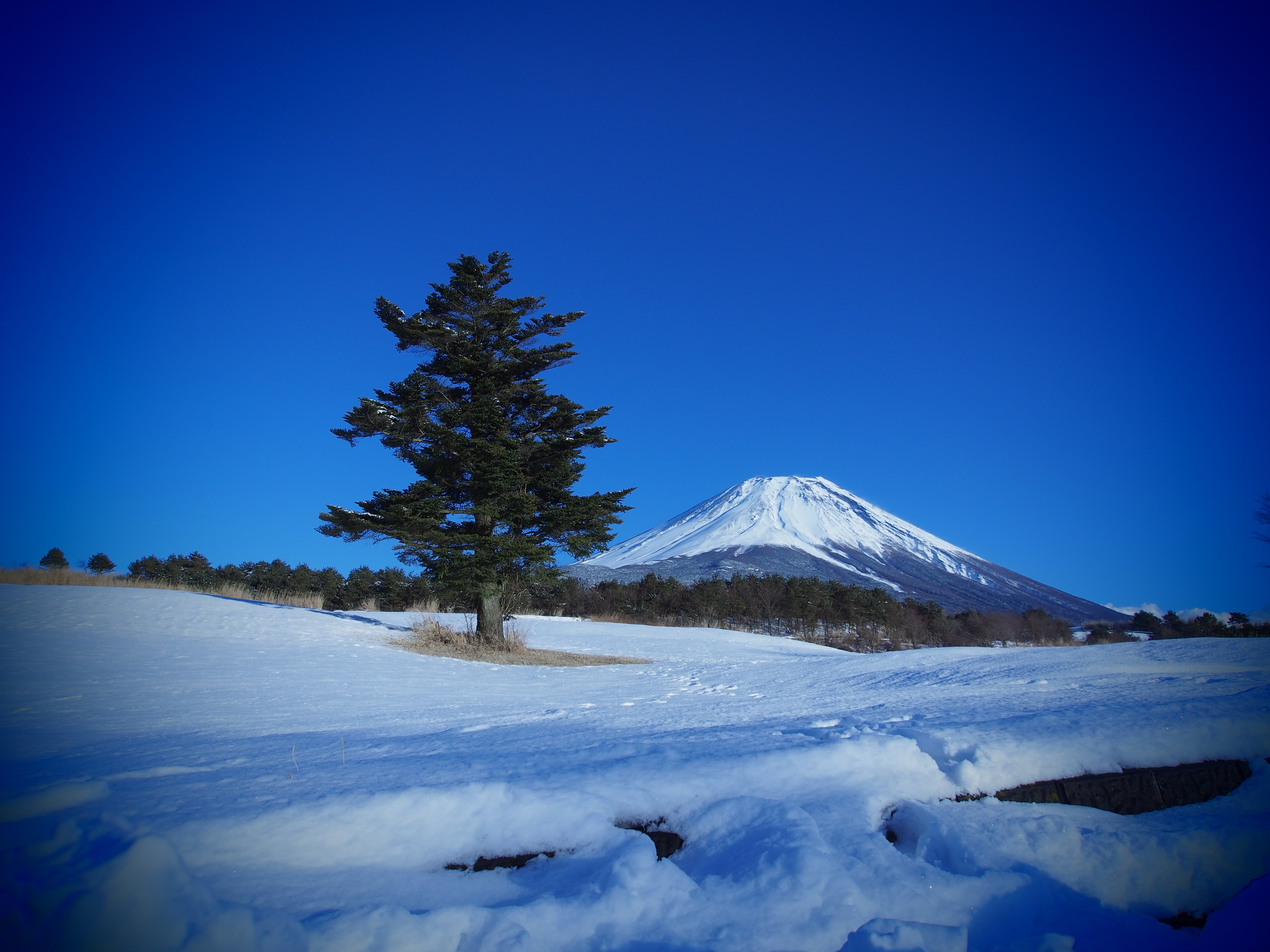桌面上的壁纸富士山 日本 冬季