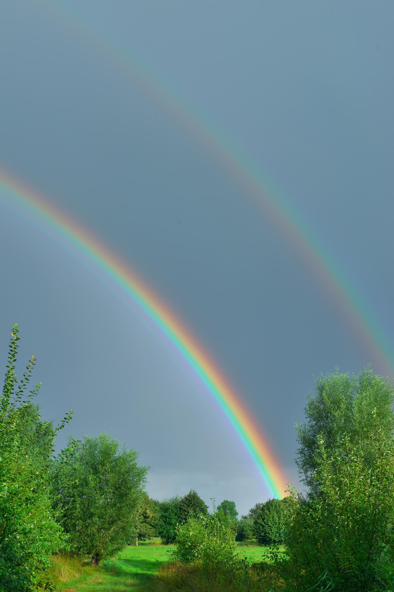 Бесплатное фото Двойная радуга в летнем поле