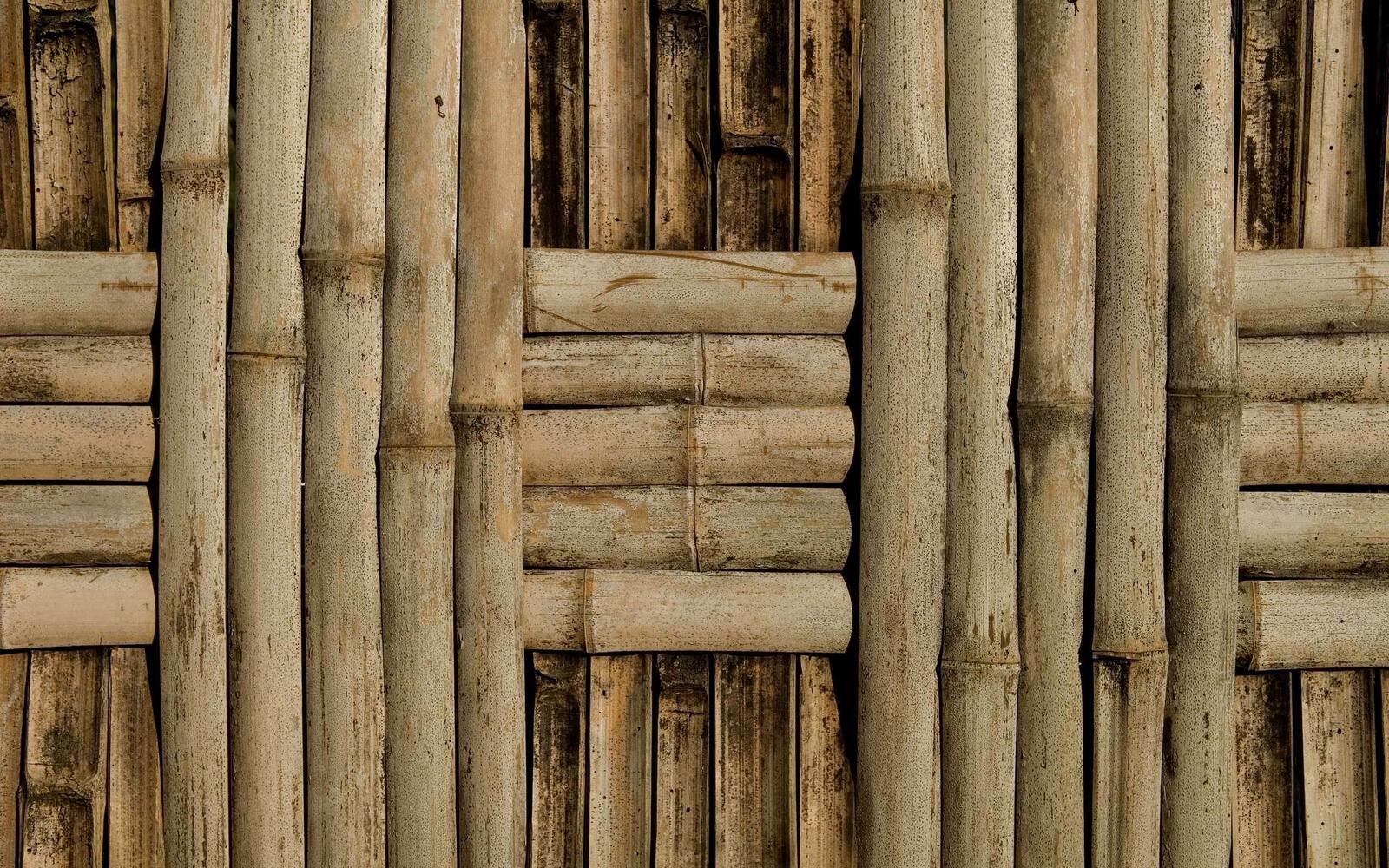 Wallpapers nets bamboo sticks on the desktop