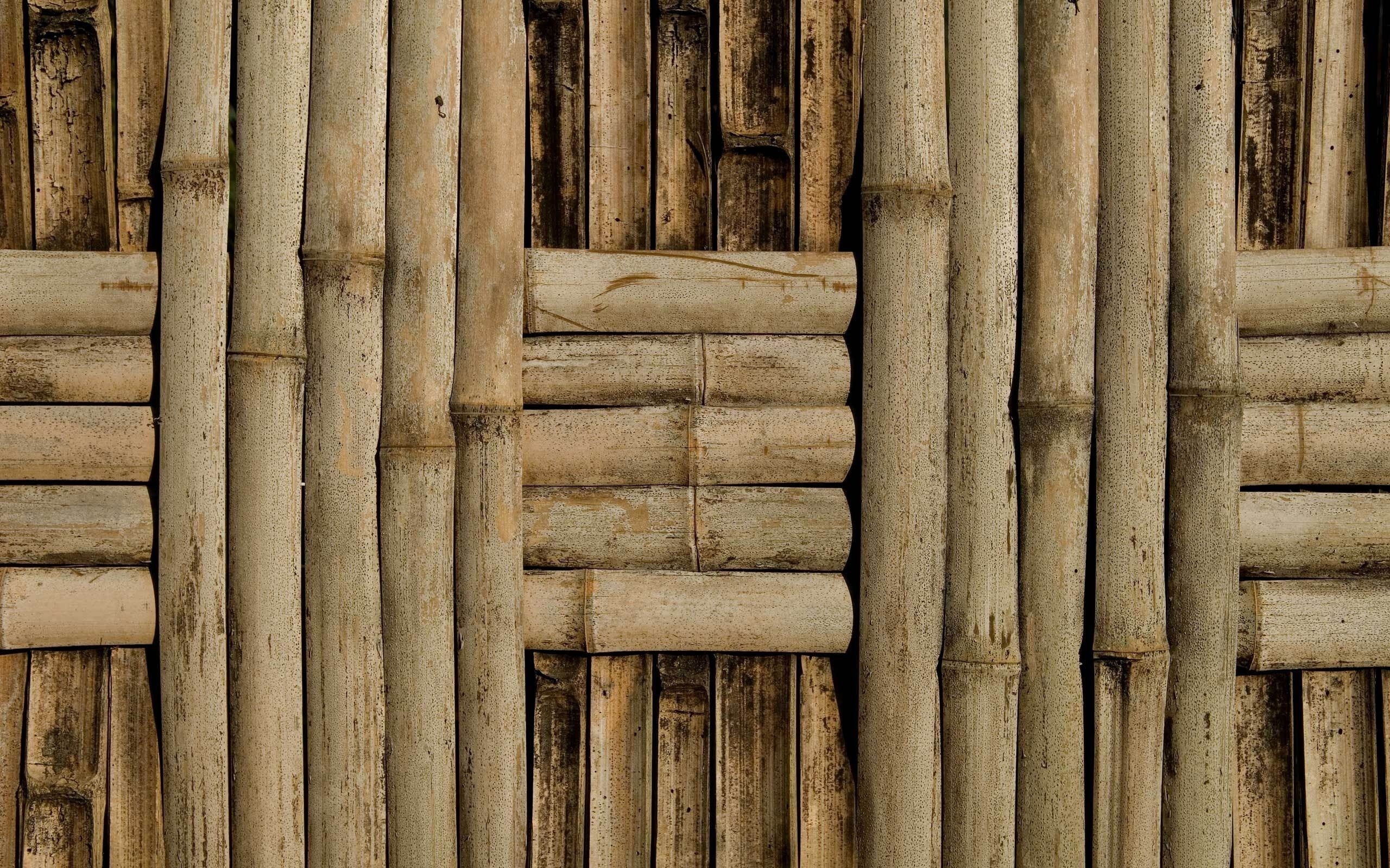 Фото бесплатно сети, бамбук, палочки