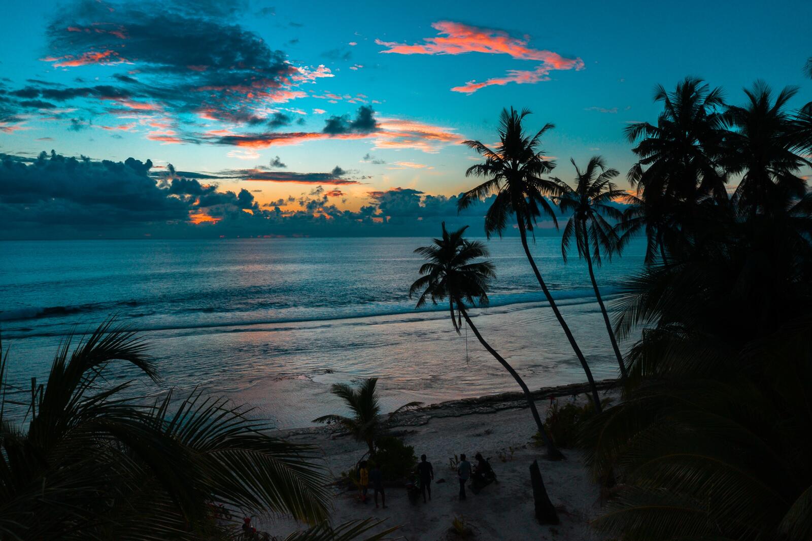 桌面上的壁纸热带地区 海滩 日出观测