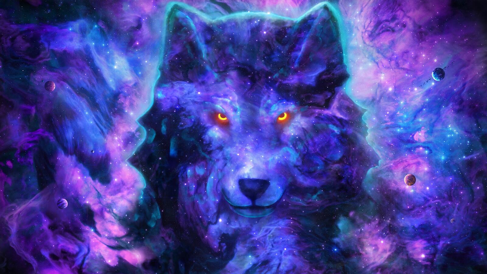 Wallpapers space dog atmosphere on the desktop