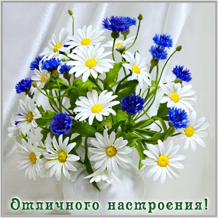 Postcard free have a great mood, chamomile, flowers