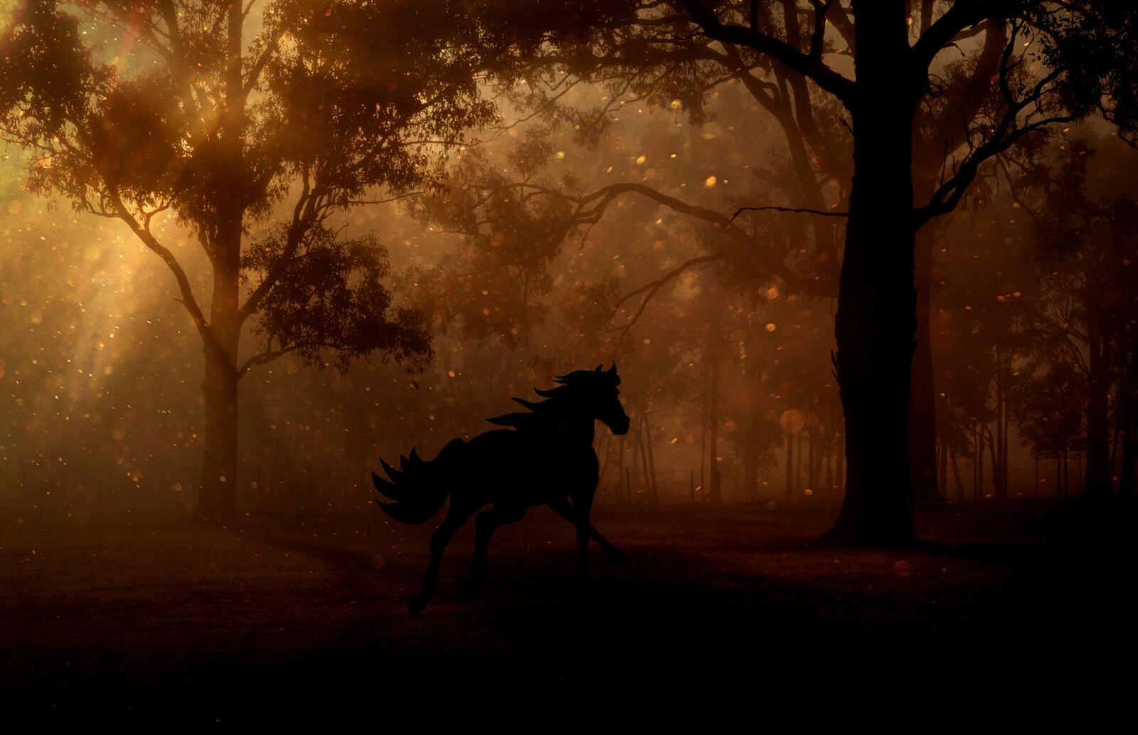 Wallpapers autumn horse steed on the desktop