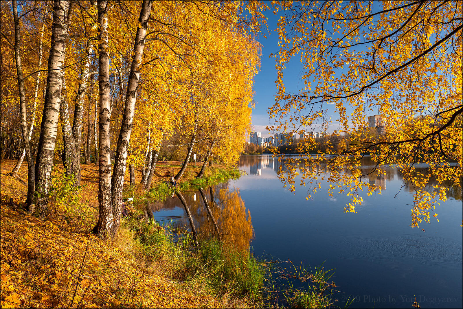 Wallpapers Russia Moscow autumn pond on the desktop