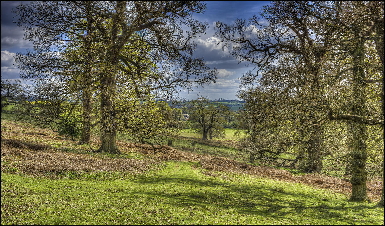 Wallpapers field trees england hills on the desktop