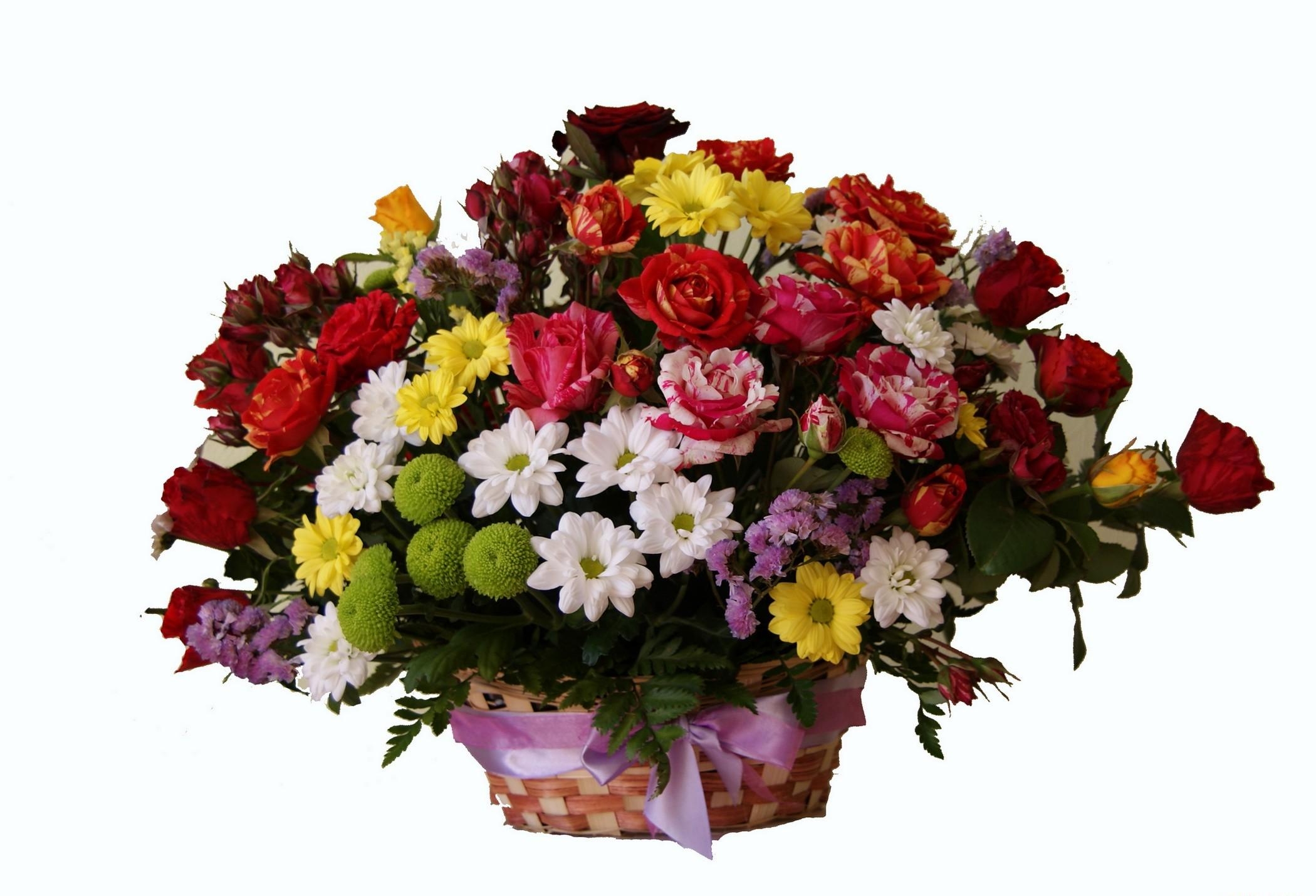 Фото бесплатно цветы, корзина, хризантемы
