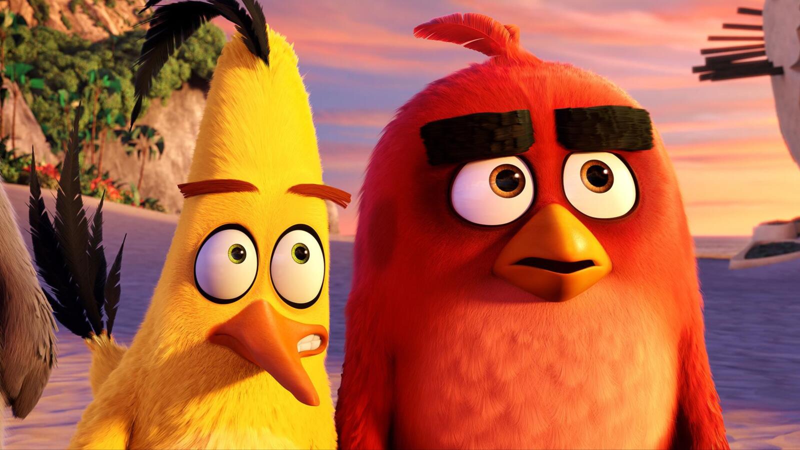 Wallpapers 2016 movies cartoons angry birds on the desktop
