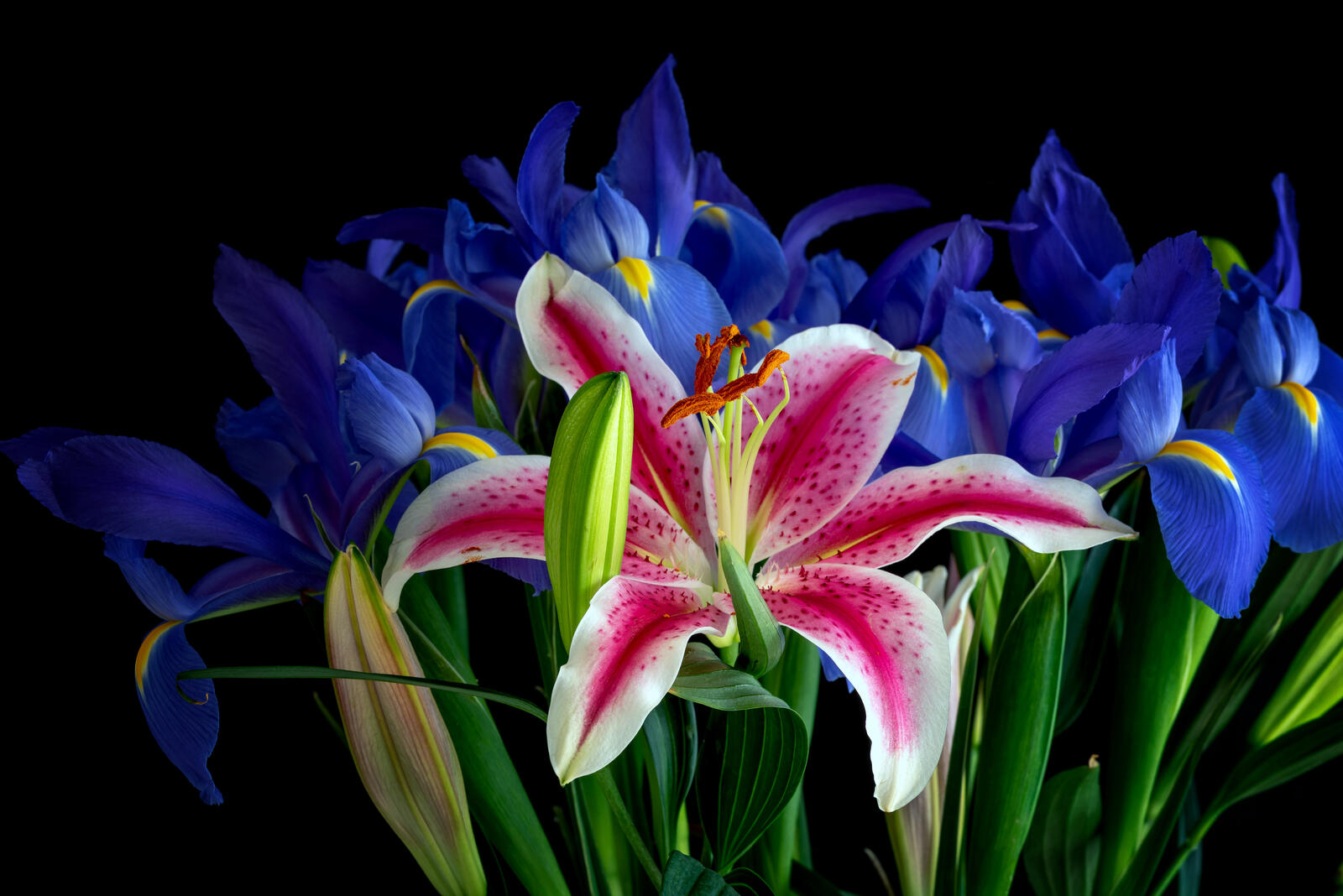 Бесплатное фото Цветы лилии с ирисом