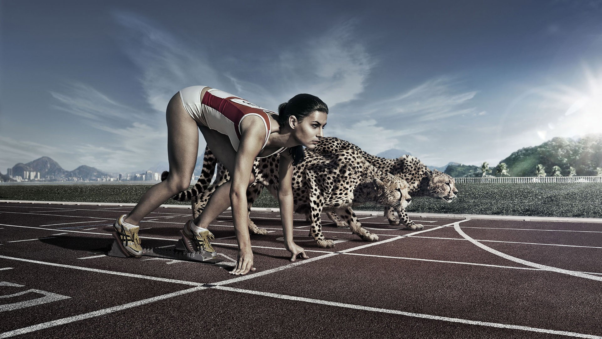 Photo free cheetahs, human positions, model