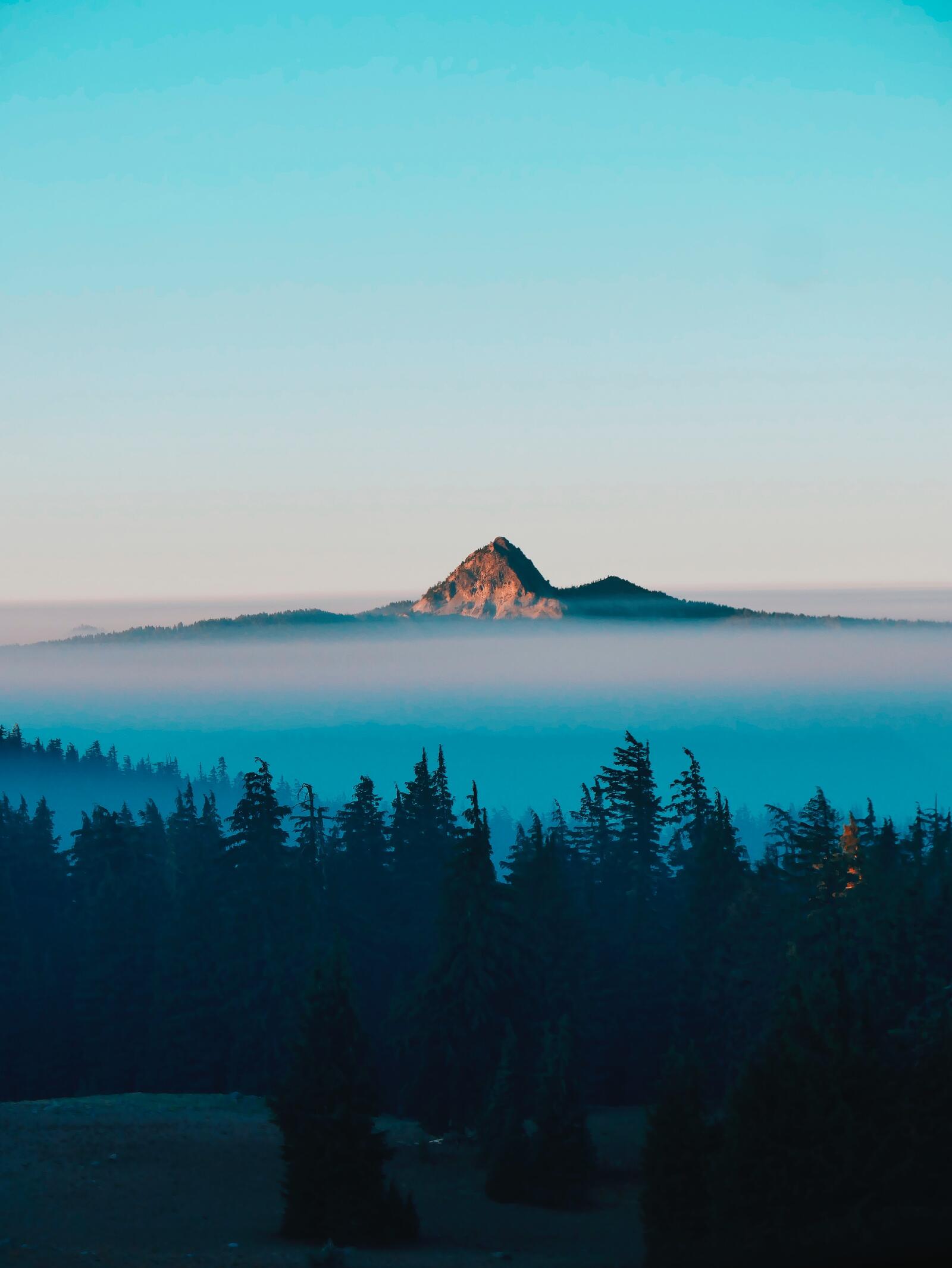 Wallpapers mountain peak trees foggy on the desktop