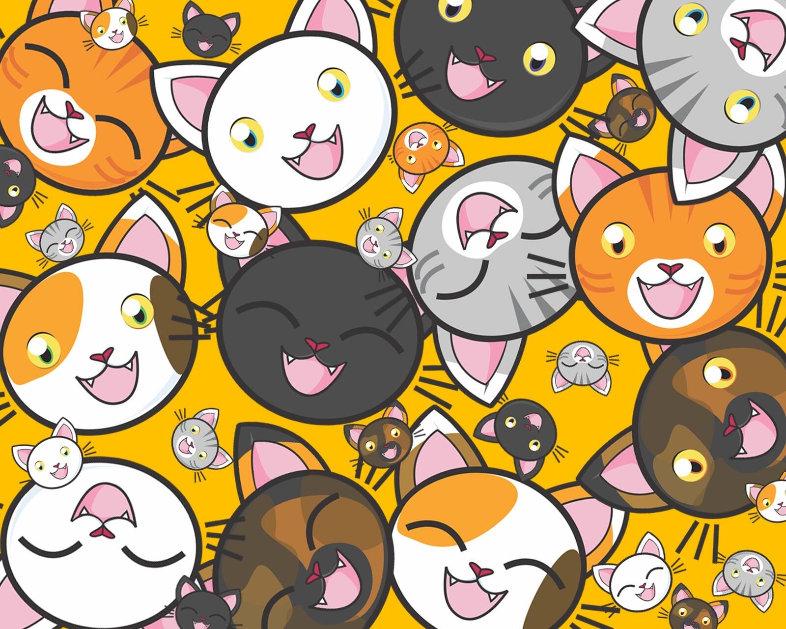 Wallpapers cats humor many on the desktop
