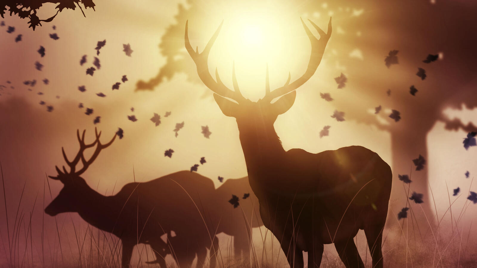 Wallpapers deer artist animals on the desktop