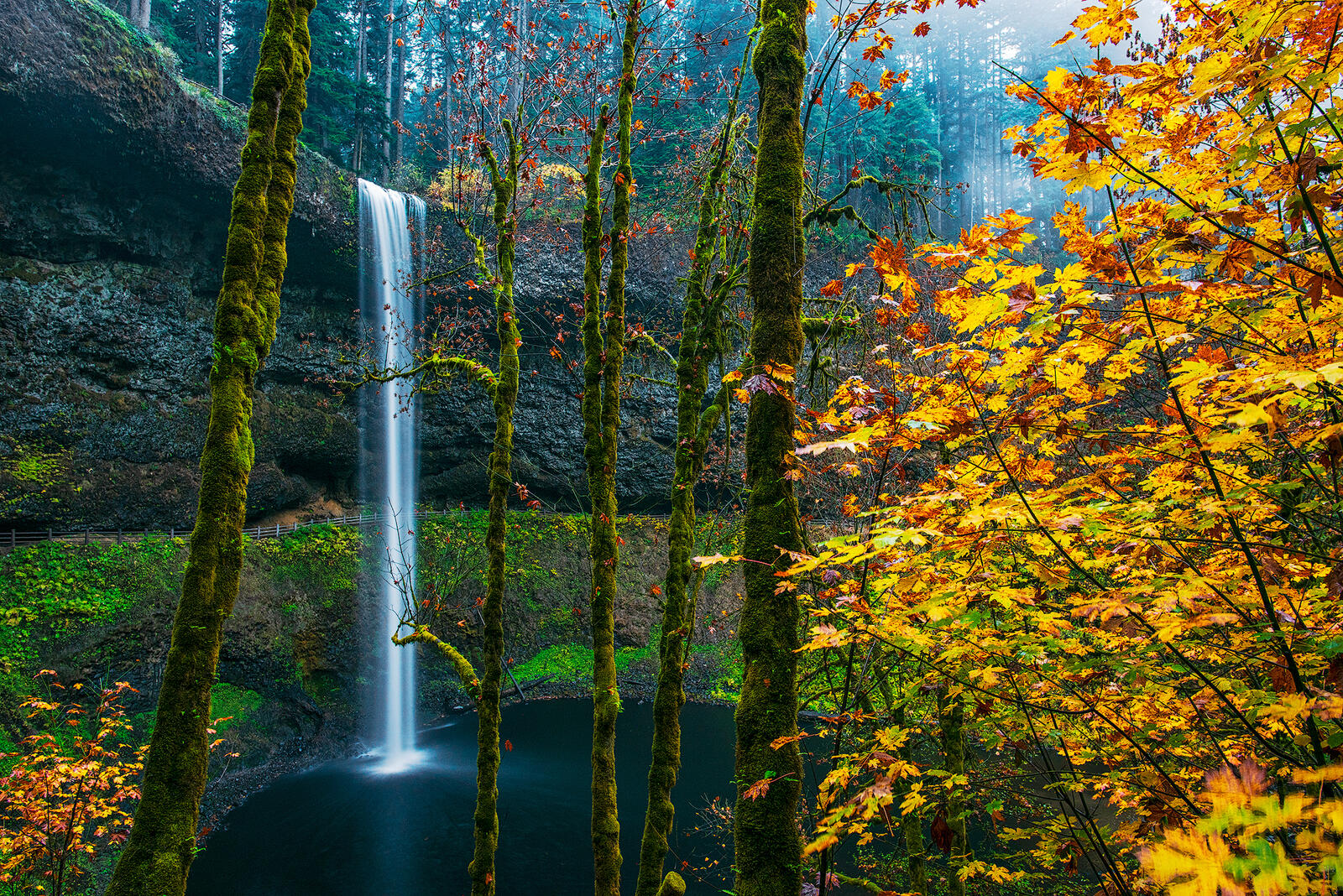 Wallpapers Fall Colors Silver Fall State Park Oregon on the desktop