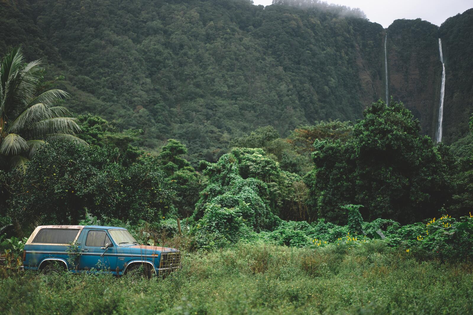 Обои старый автомобиль окружающая природа тропический лес на рабочий стол