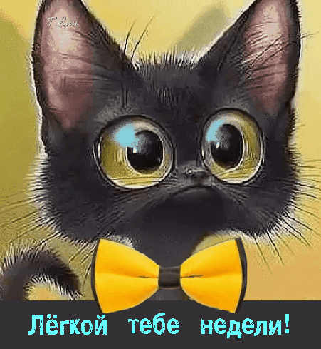 Postcard card monday cat eyes - free greetings on Fonwall