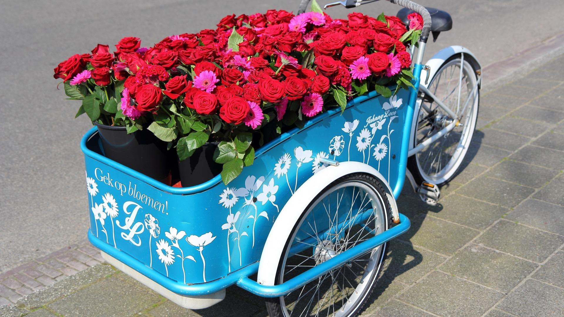 Wallpapers bicycle flowers roses on the desktop