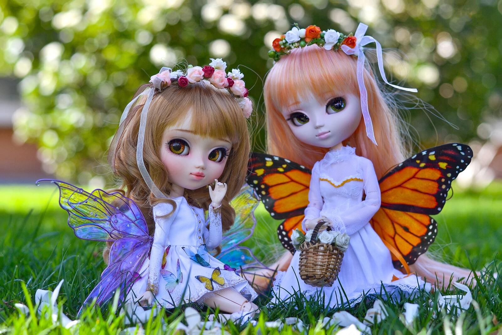 Free photo Butterfly dolls