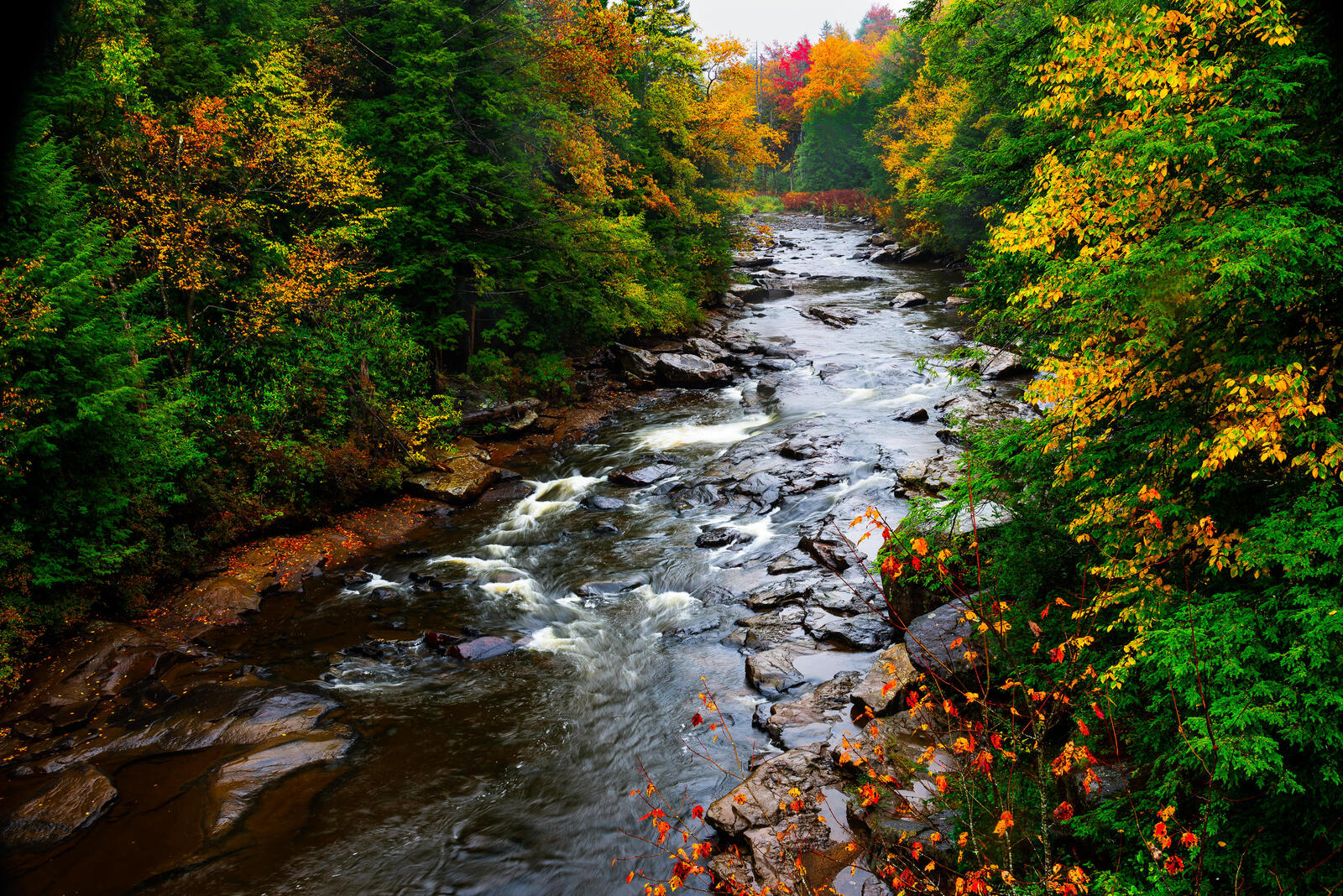 Wallpapers Blackwater Falls State Park river autumn on the desktop