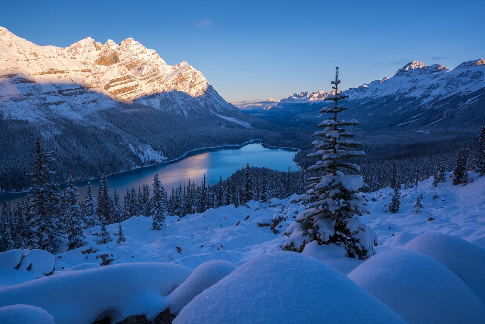 Wallpapers landscapes Alberta winter on the desktop