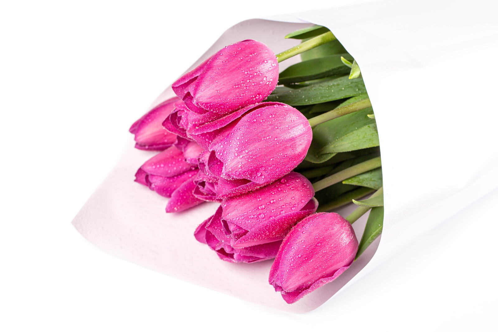 Wallpapers flowers bouquets tulips on the desktop