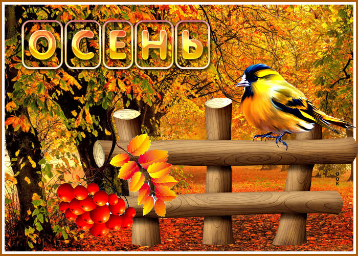 Postcard free autumn, bird, yellow leaves
