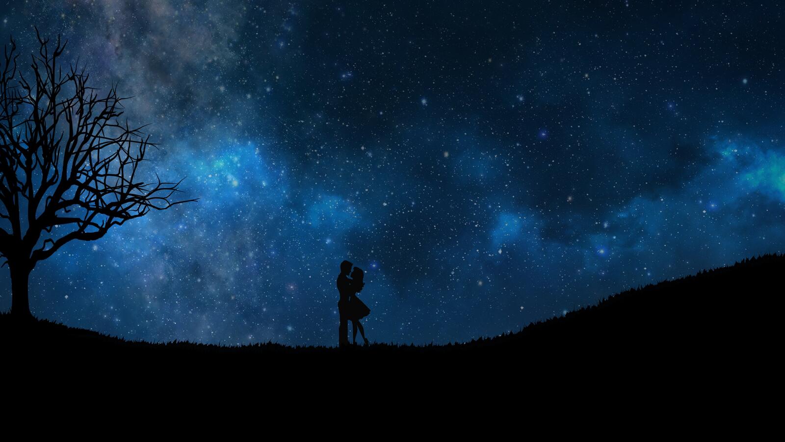 Wallpapers starry sky couple love on the desktop