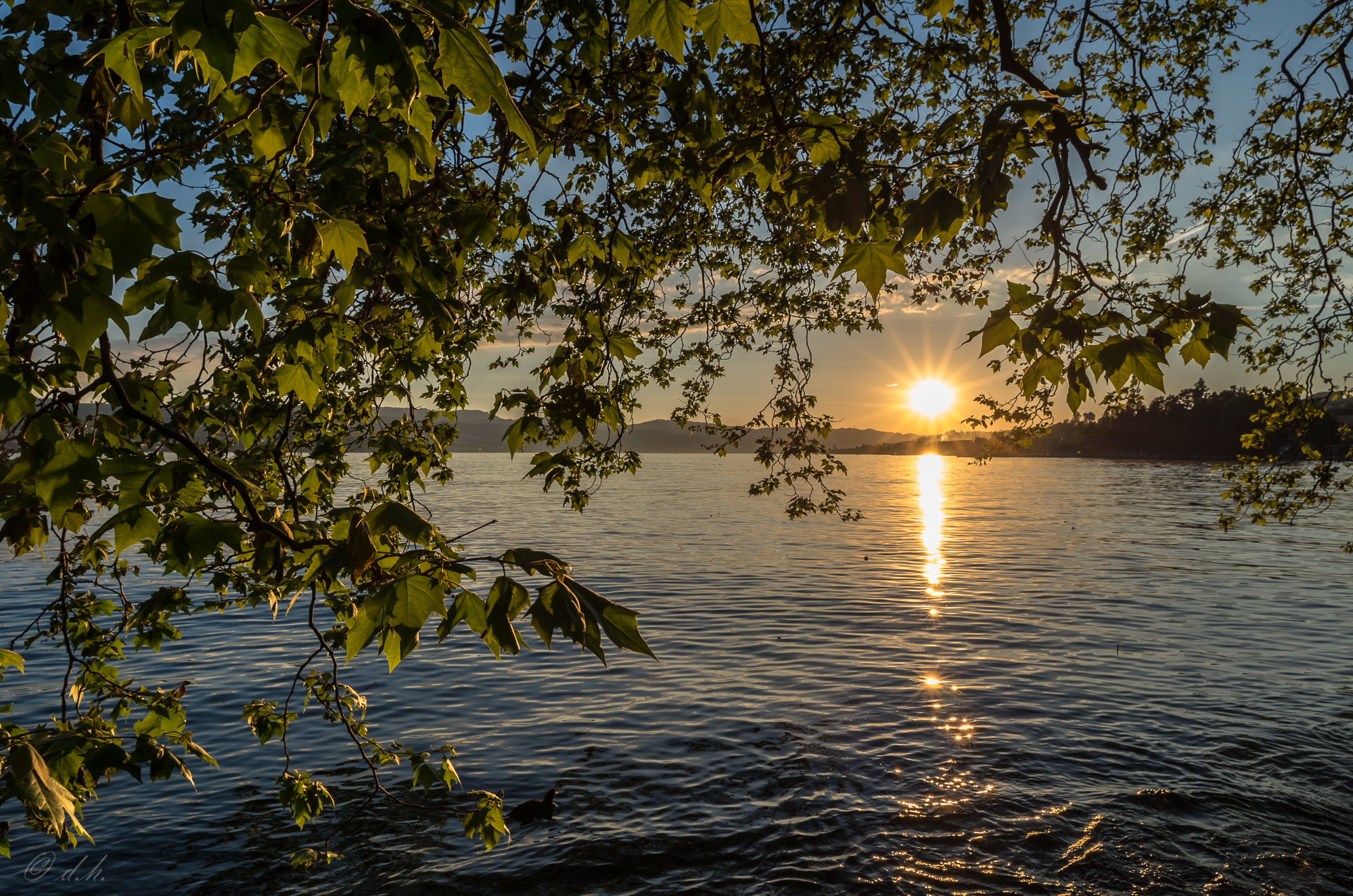Photo free Lake, sunset, Zurich