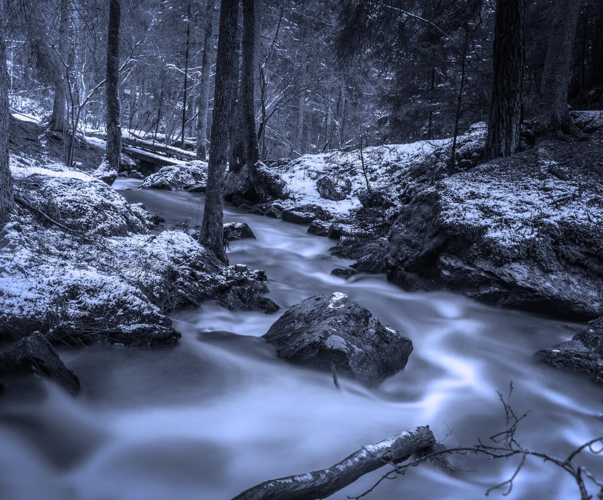 The first snow on the banks of the creek in the woods