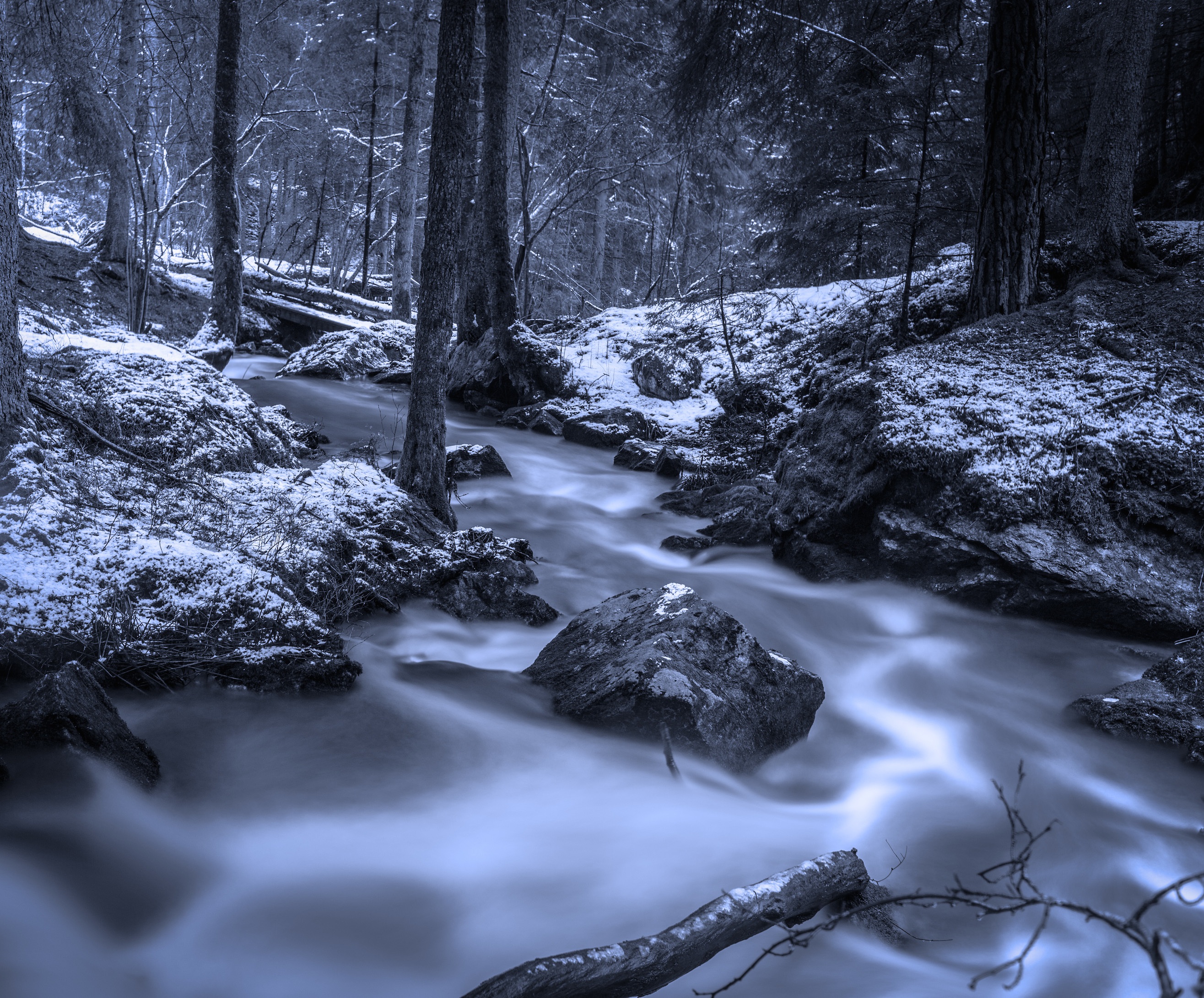 免费照片树林中溪流两岸的初雪