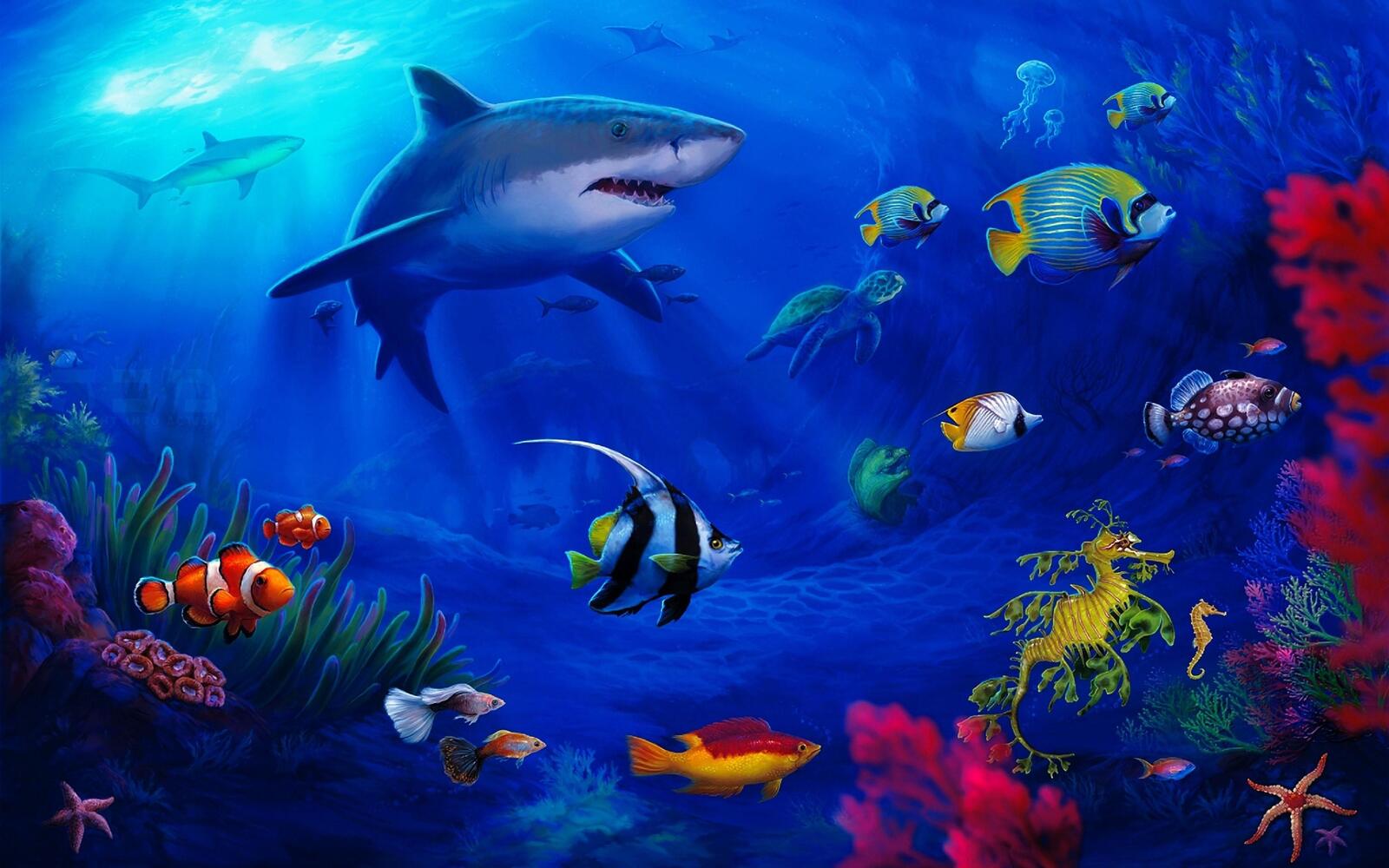 Wallpapers meeresbewohner fishes shark on the desktop