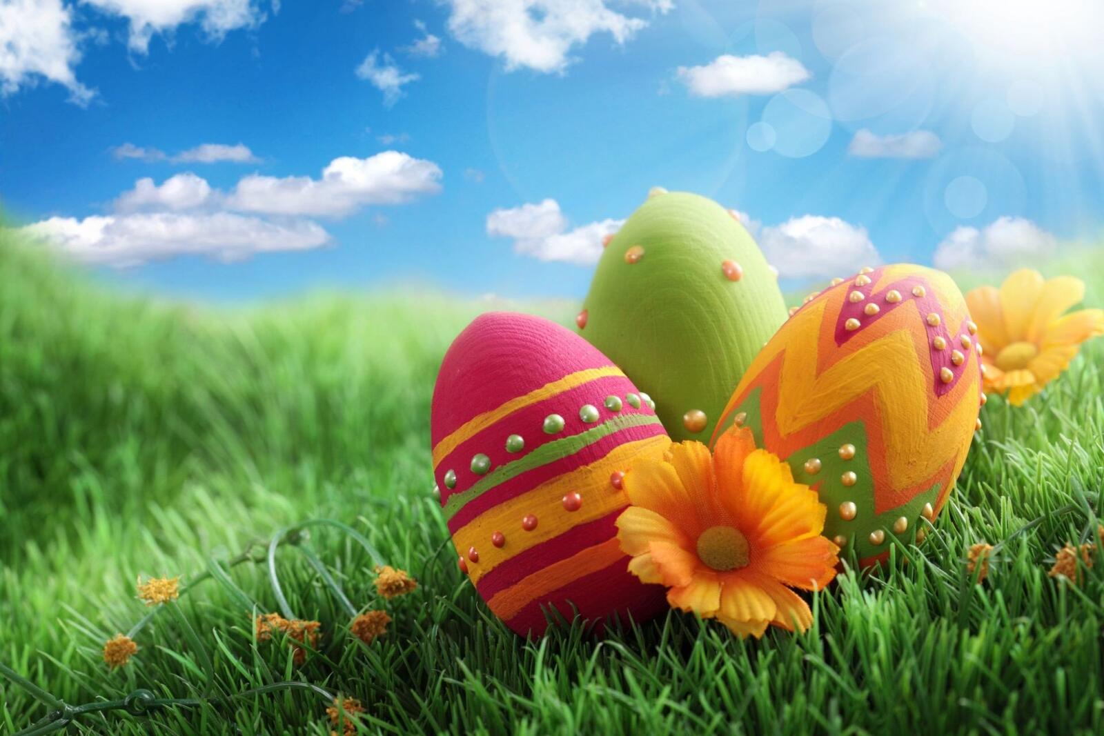 Wallpapers green grass colorful eggs holidays on the desktop