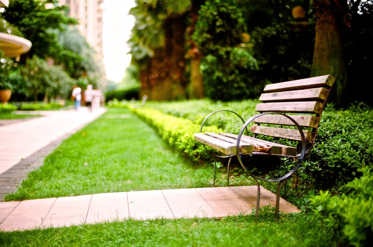 A bench in a summer park