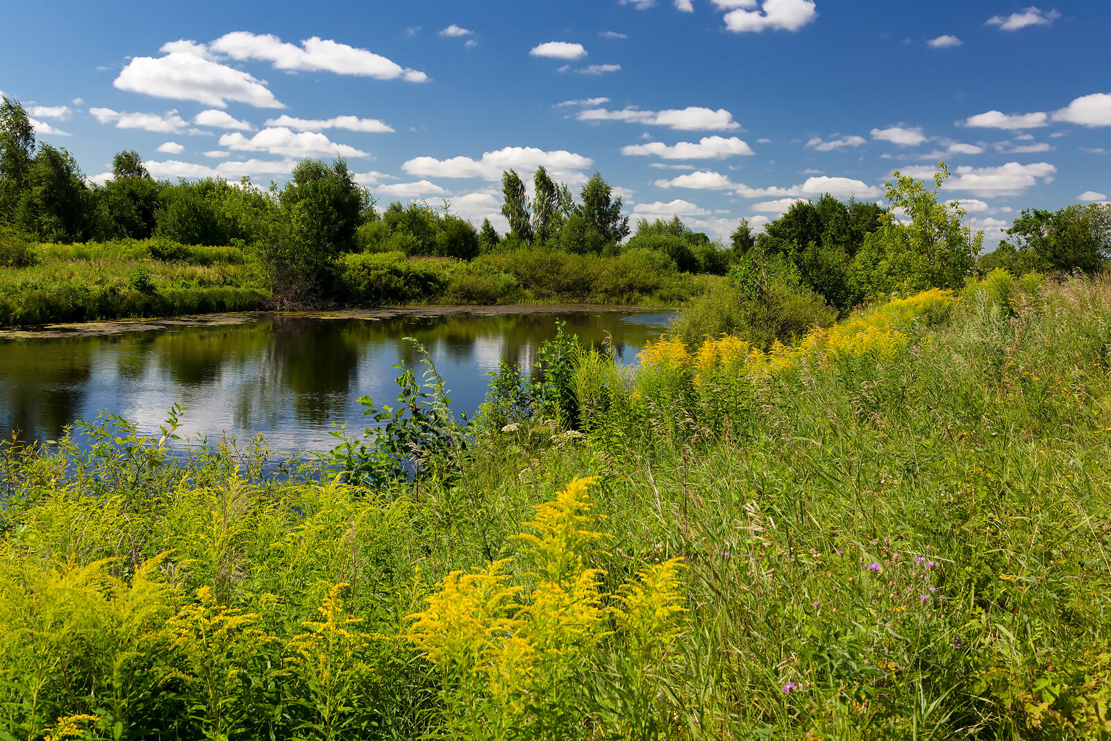 Бесплатное фото Летний пейзаж с речкой